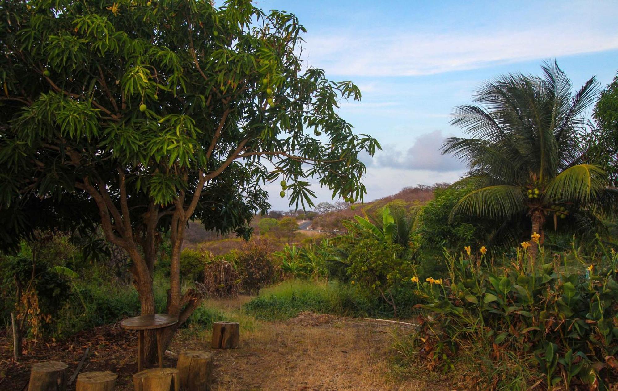 Palhoca Da Colina Hotell Fernando de Noronha Eksteriør bilde