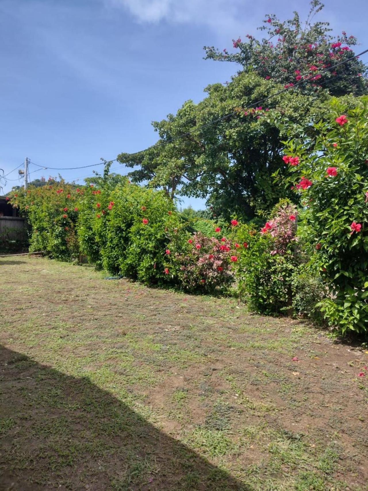 Palhoca Da Colina Hotell Fernando de Noronha Eksteriør bilde