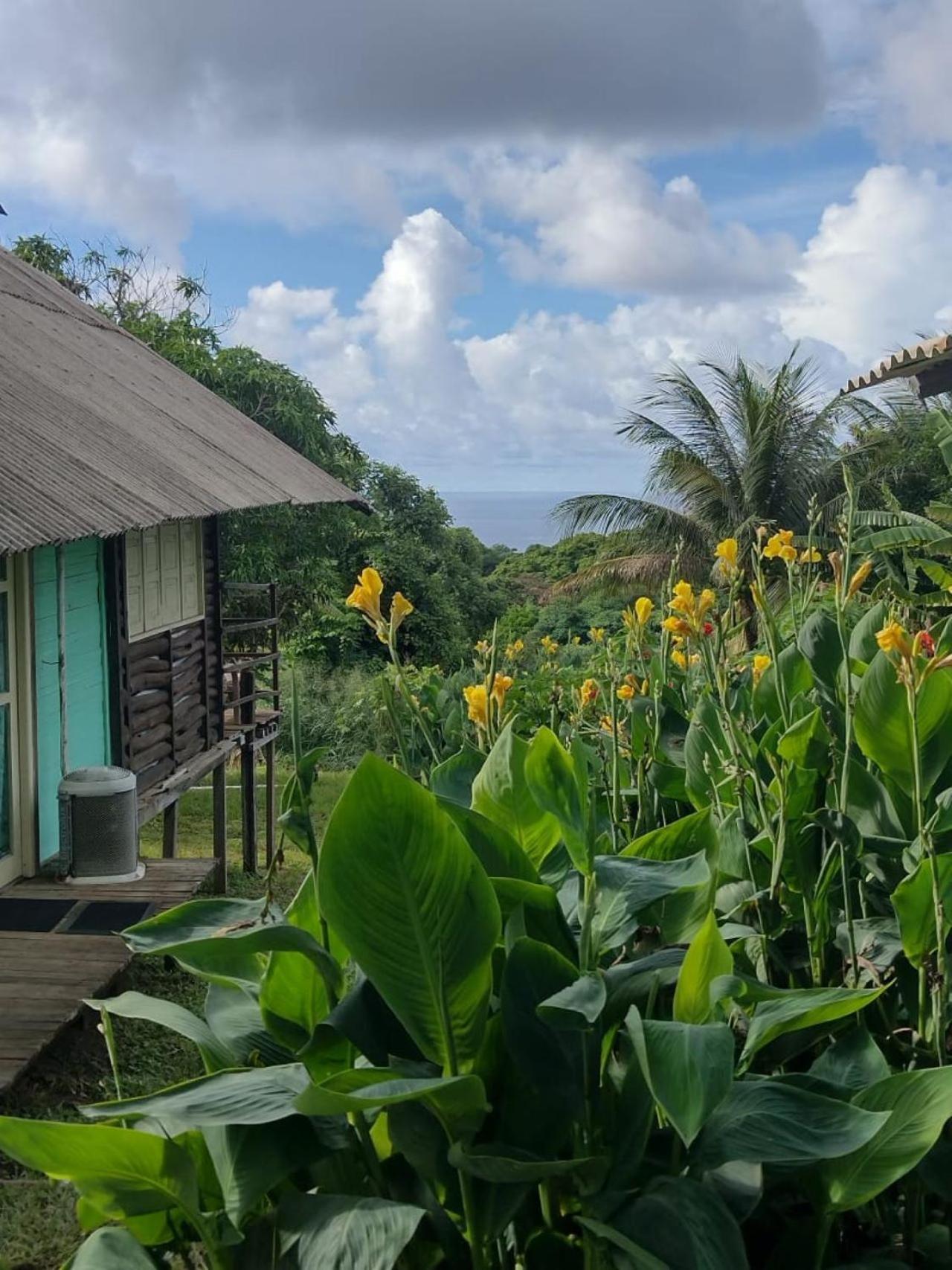 Palhoca Da Colina Hotell Fernando de Noronha Eksteriør bilde