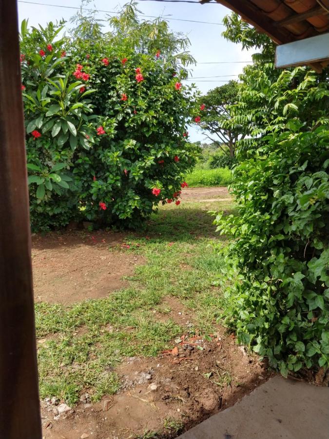 Palhoca Da Colina Hotell Fernando de Noronha Eksteriør bilde